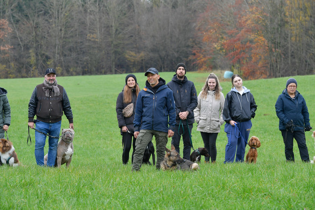 Focused dog training